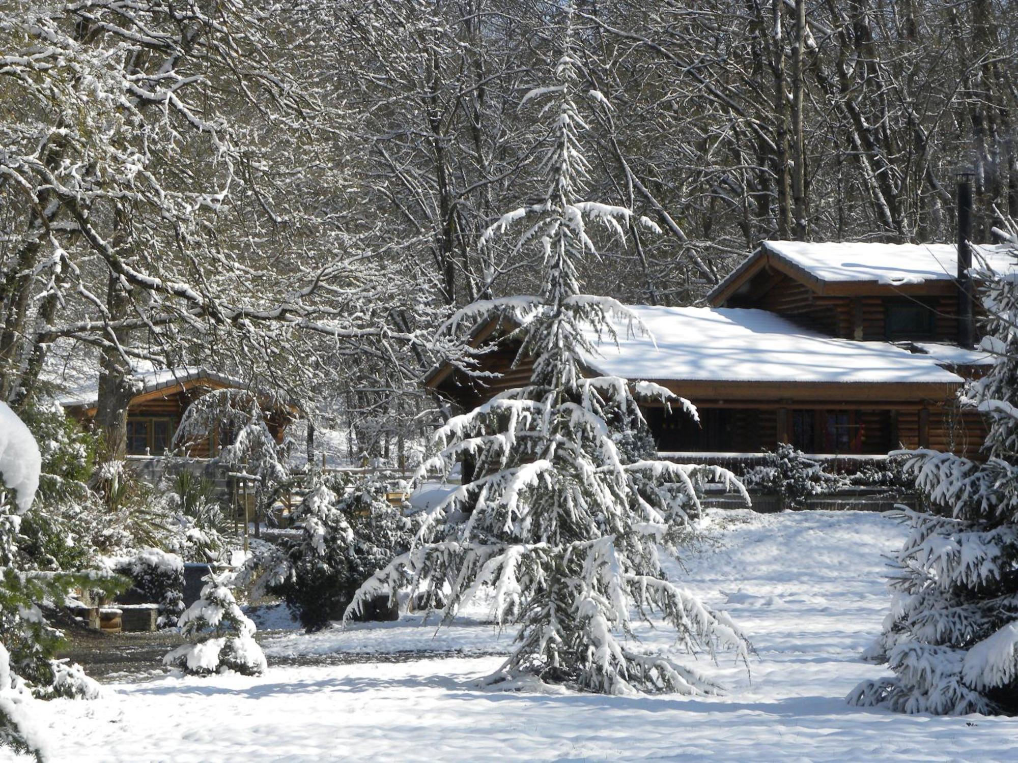 Tumbleweed House Bed and Breakfast Aigrefeuille Exterior foto